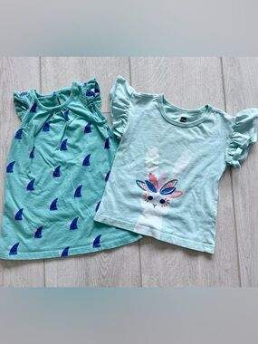 Tea Collection 12-18M Bundle Dress + Flutter Sleeve Tee